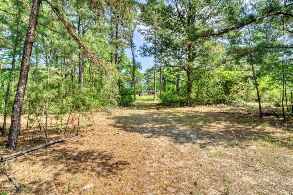 6733 Fm 1511, Centerville, Texas image 35