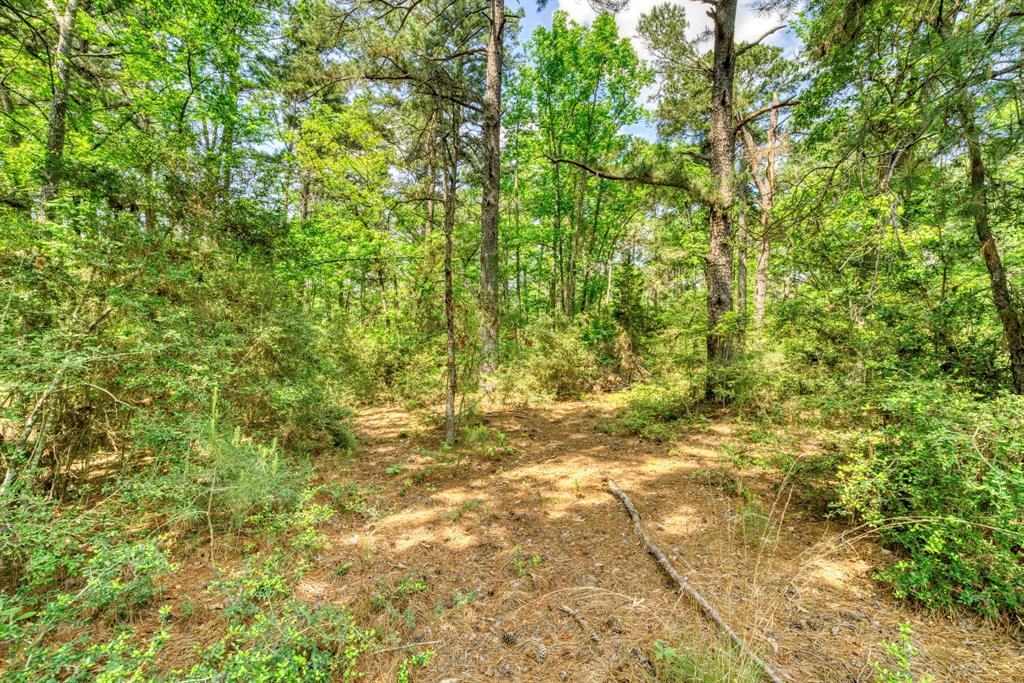6733 Fm 1511, Centerville, Texas image 38