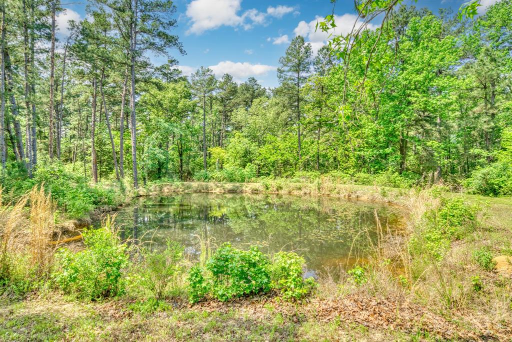 6733 Fm 1511, Centerville, Texas image 31