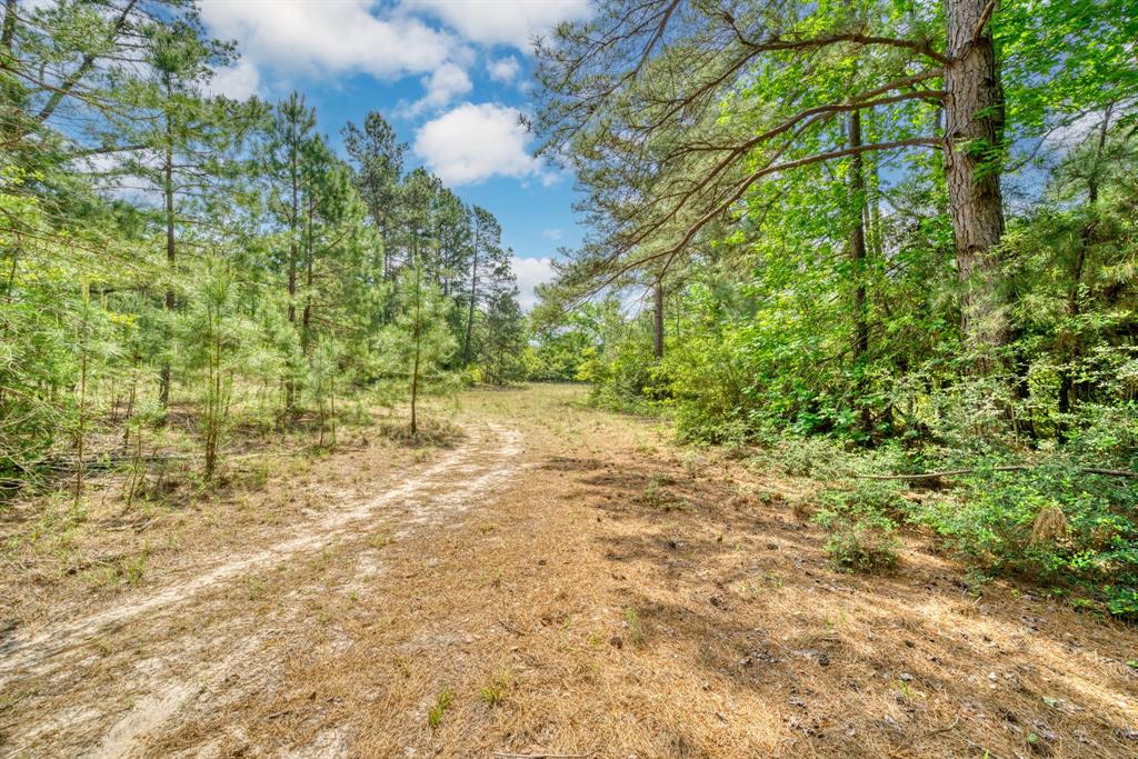 6733 Fm 1511, Centerville, Texas image 37