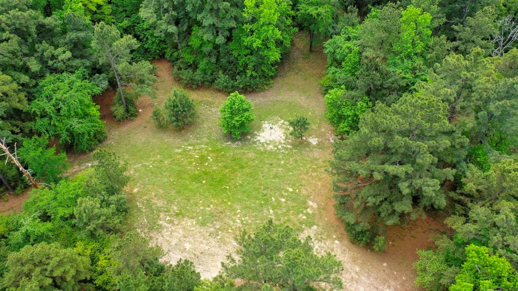 6733 Fm 1511, Centerville, Texas image 39