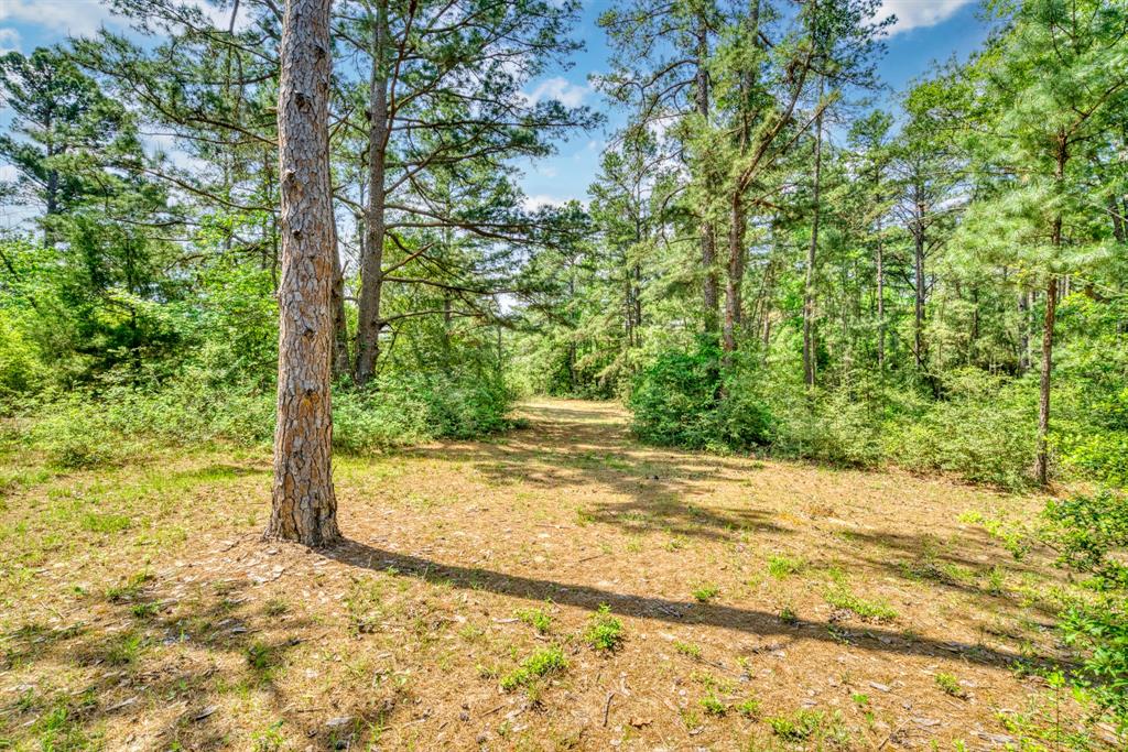 6733 Fm 1511, Centerville, Texas image 36