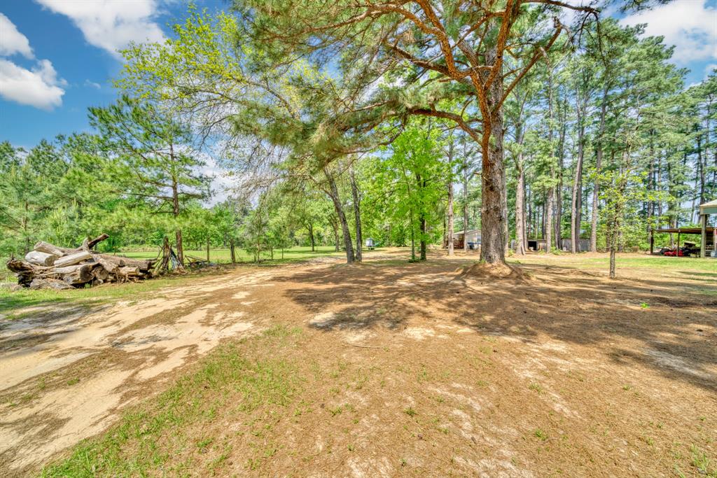 6733 Fm 1511, Centerville, Texas image 3