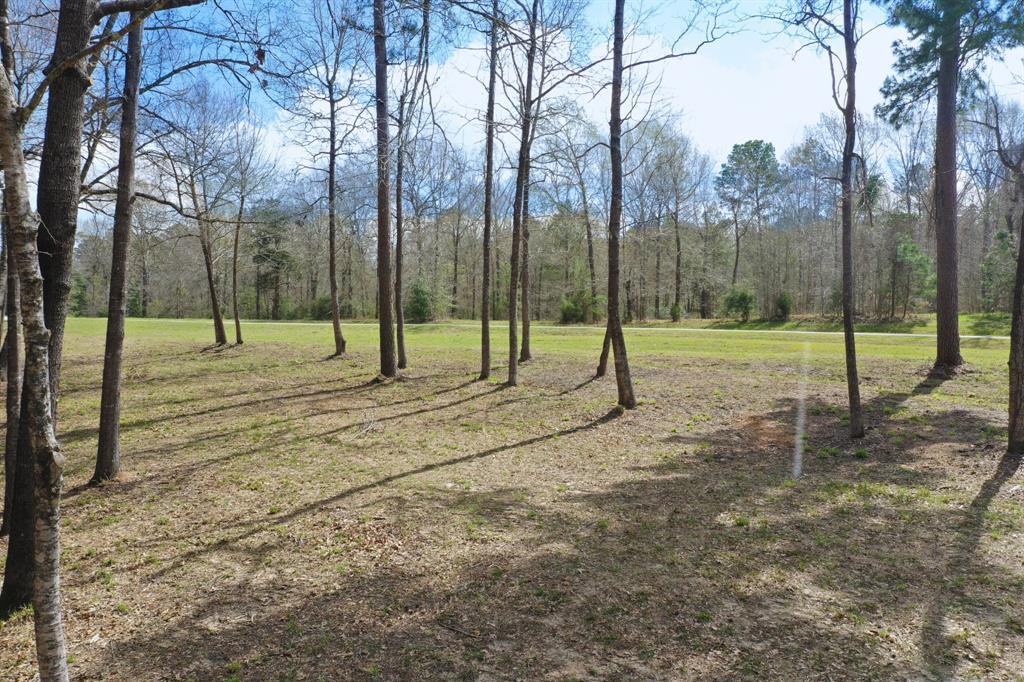 Lot 3 Harrell Cemetery Road, Coldspring, Texas image 3