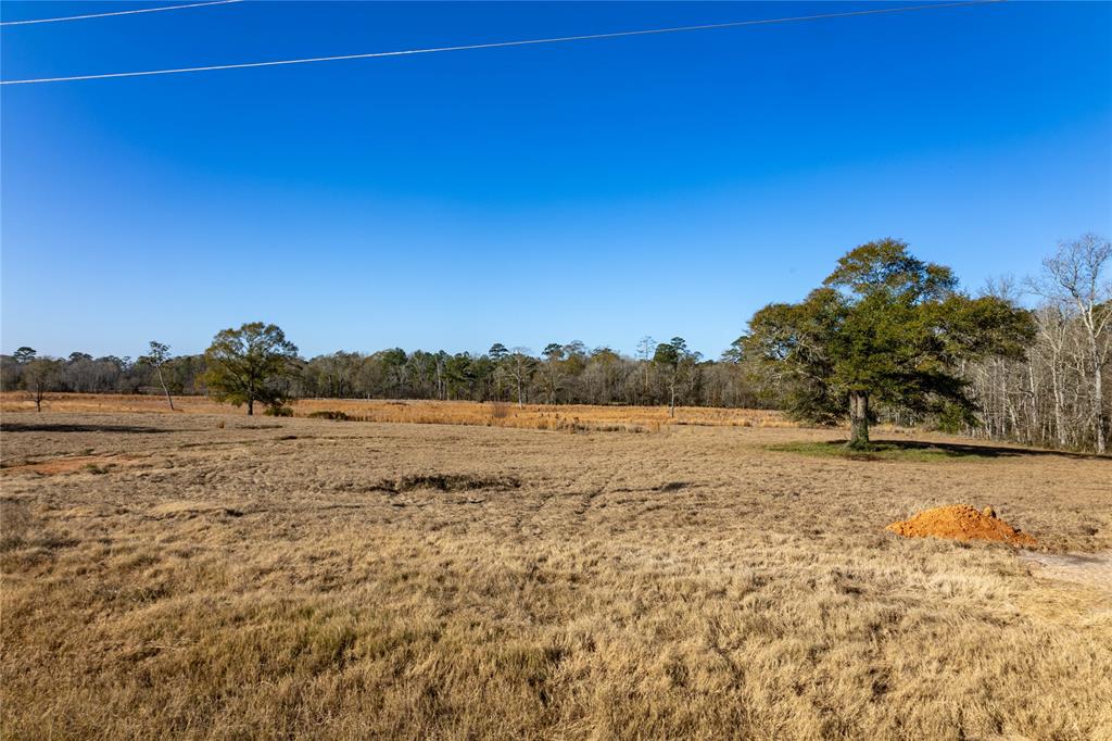 TBD Lakeland, Hillister, Texas image 9