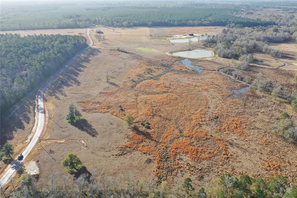 TBD Lakeland, Hillister, Texas image 14