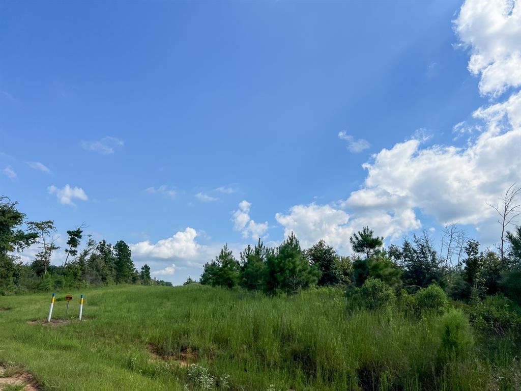 01 Cr 4916, Timpson, Texas image 14