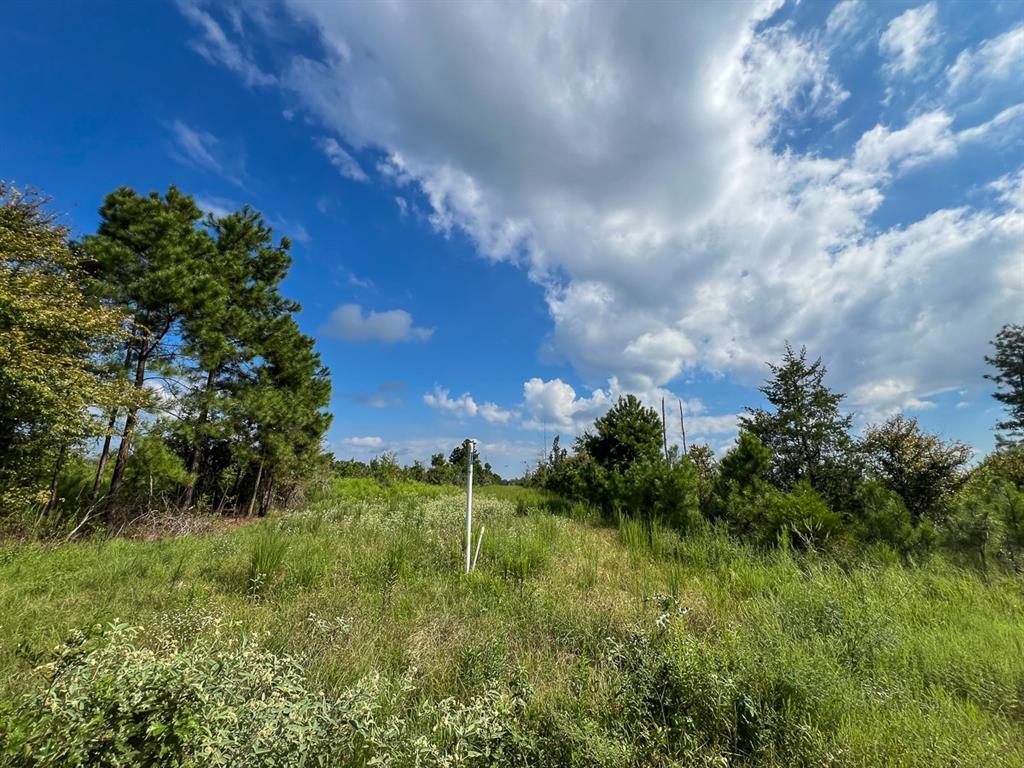 01 Cr 4916, Timpson, Texas image 6