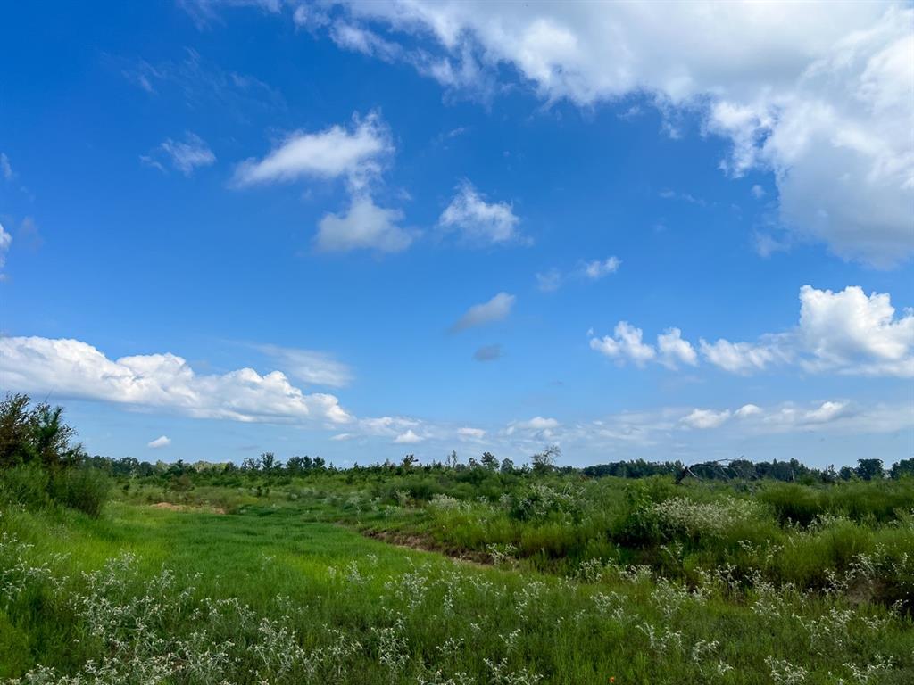 01 Cr 4916, Timpson, Texas image 4