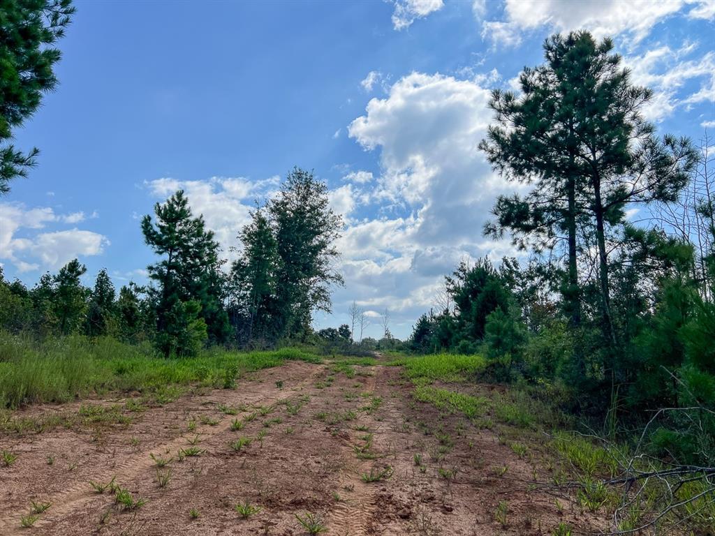 01 Cr 4916, Timpson, Texas image 18