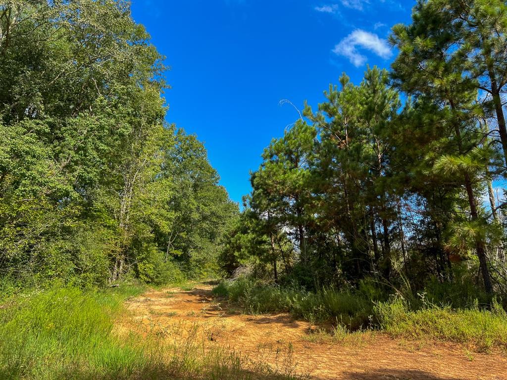 01 Cr 4916, Timpson, Texas image 9