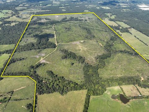 Vacant Land For Sale - 01 Cr 4916<br/> Shelby County, Timpson, TX 75975