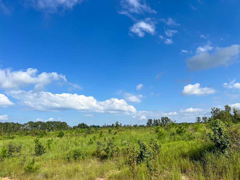 01 Cr 4916, Timpson, Texas image 7