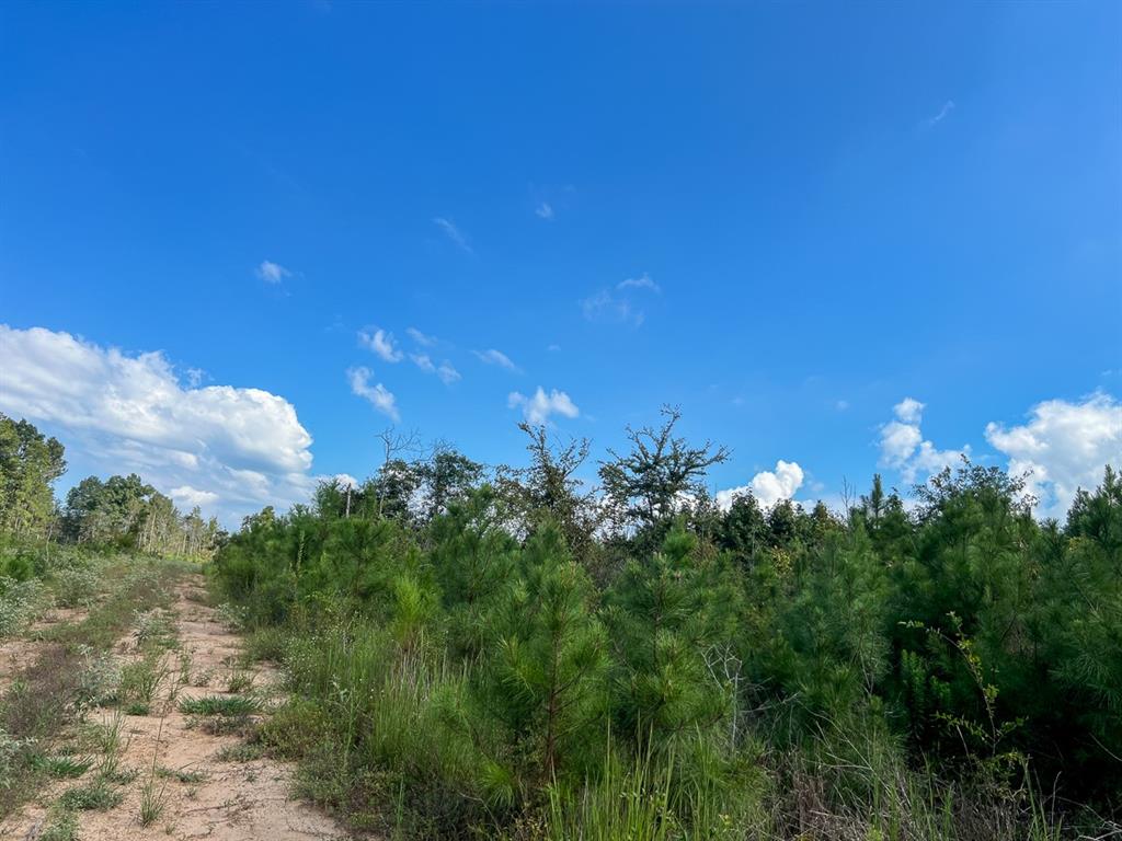 01 Cr 4916, Timpson, Texas image 15