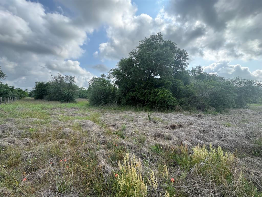 13822 County Road 394 Rd, El Campo, Texas image 9