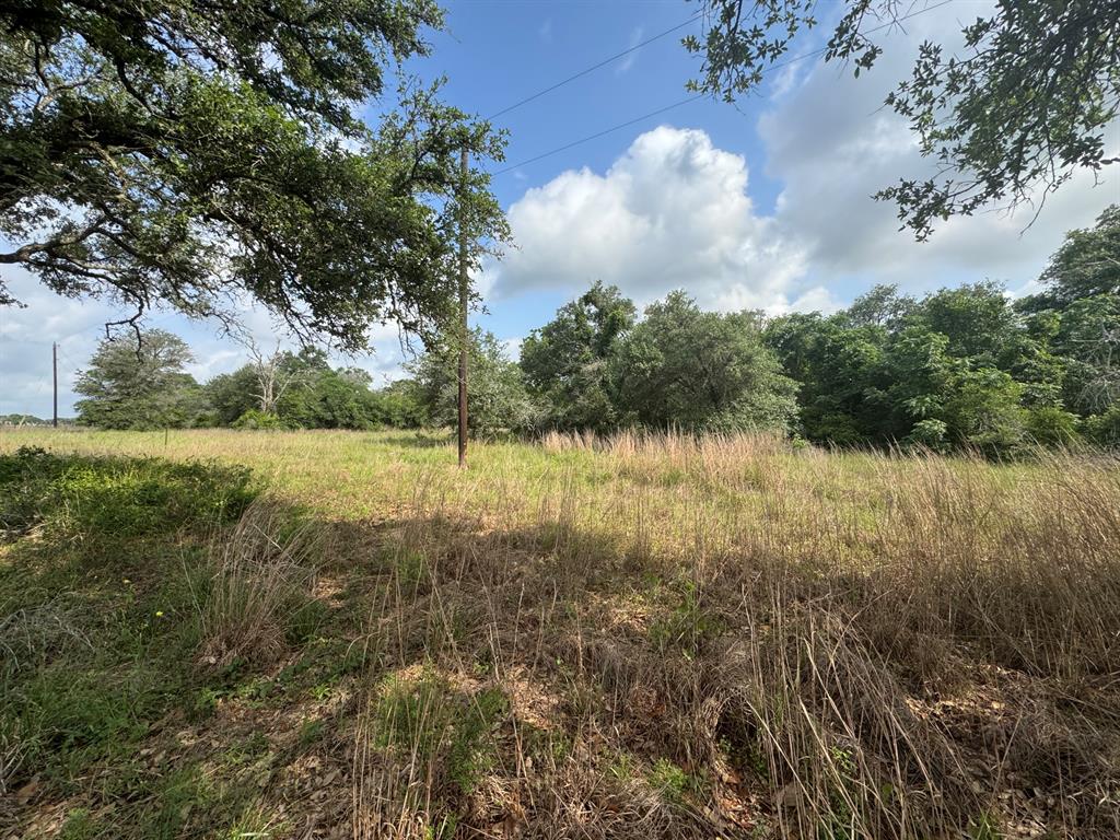 13822 County Road 394 Rd, El Campo, Texas image 6