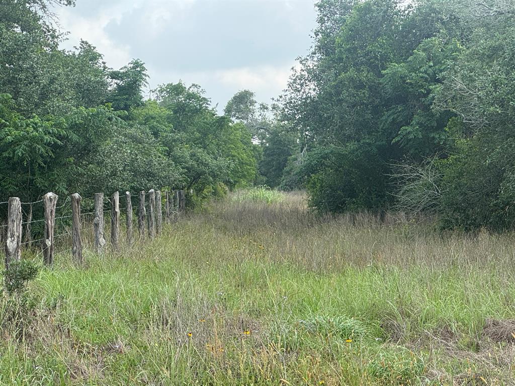 13822 County Road 394 Rd, El Campo, Texas image 3
