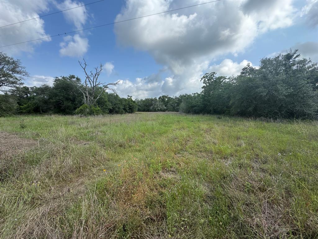 13822 County Road 394 Rd, El Campo, Texas image 11