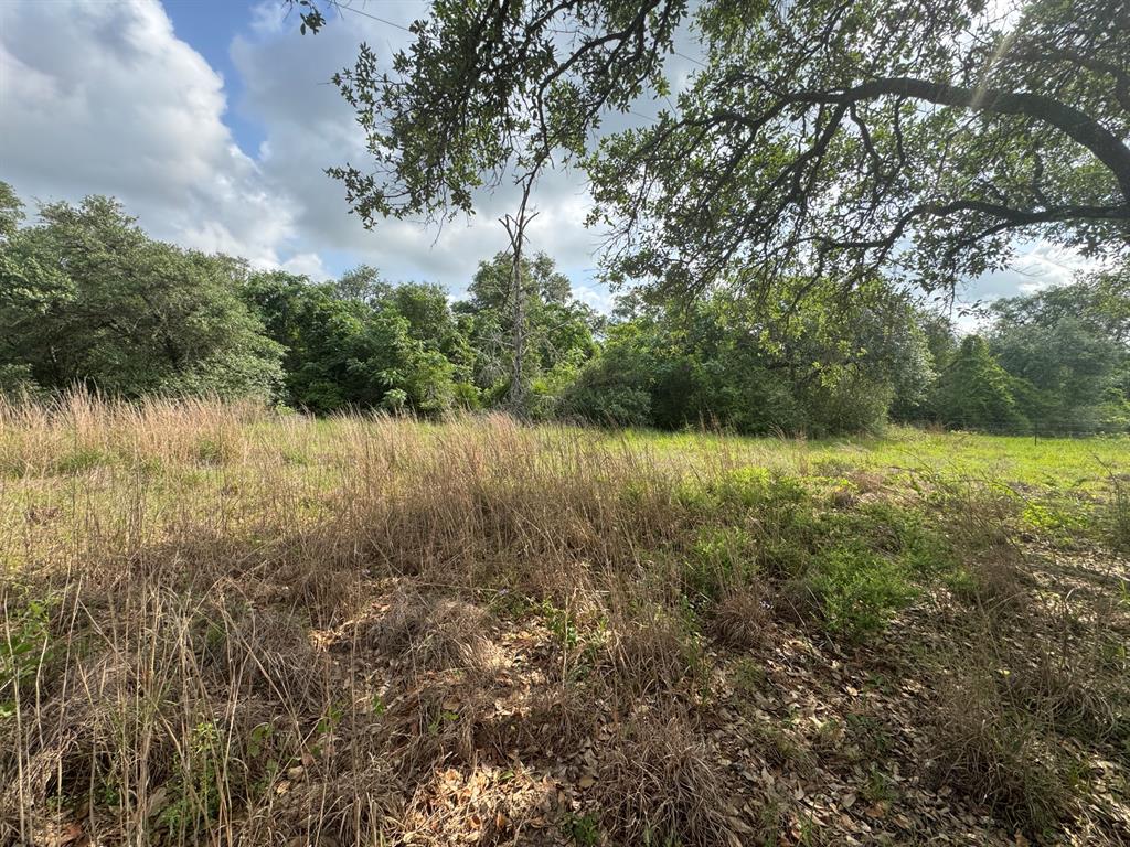 13822 County Road 394 Rd, El Campo, Texas image 7