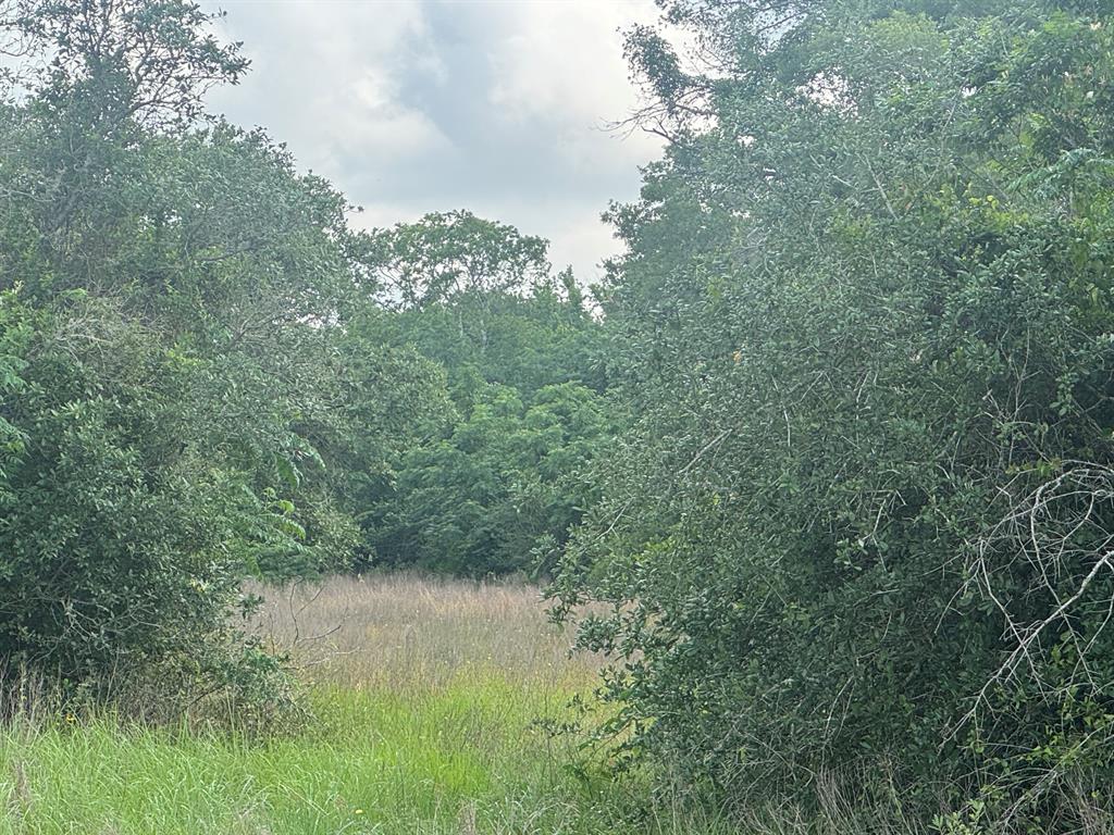 13822 County Road 394 Rd, El Campo, Texas image 5