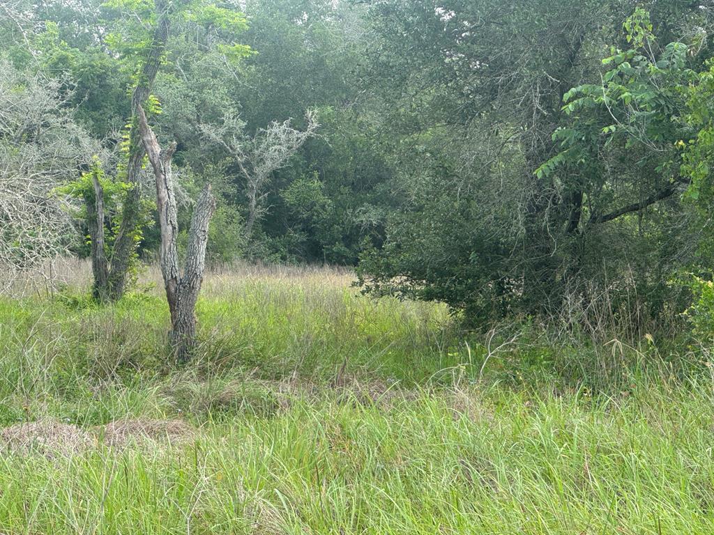 13822 County Road 394 Rd, El Campo, Texas image 4