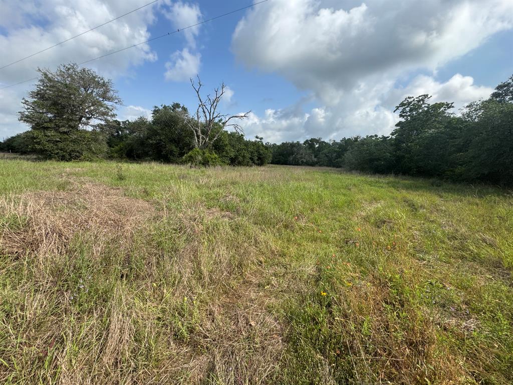13822 County Road 394 Rd, El Campo, Texas image 2