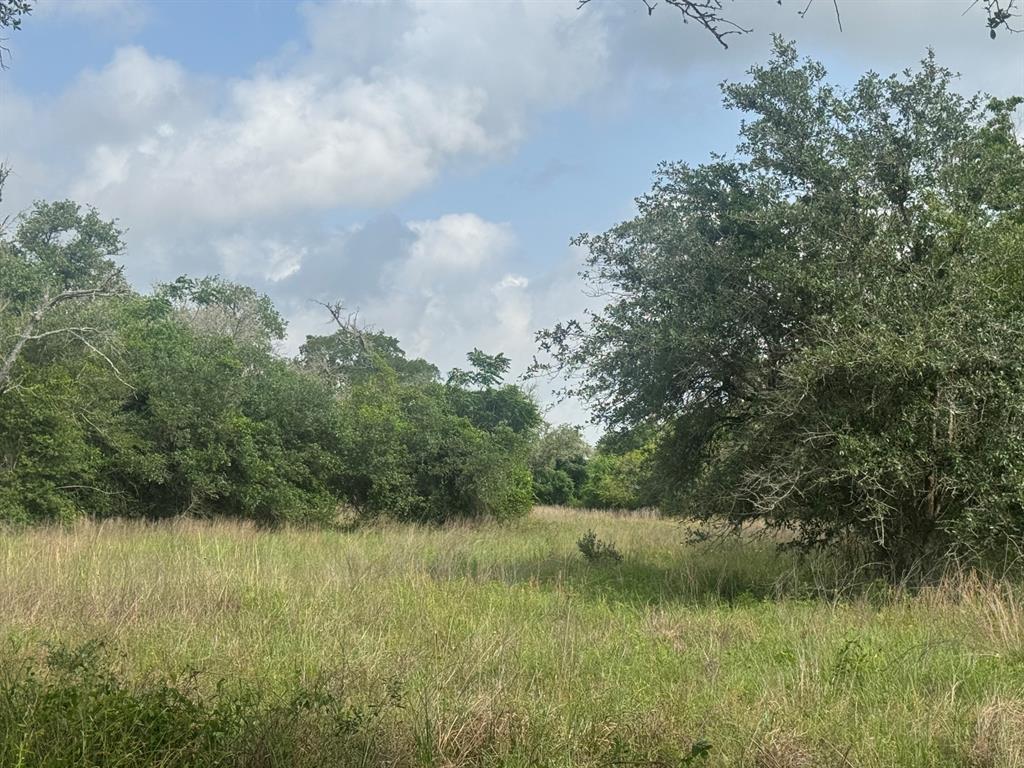 13822 County Road 394 Rd, El Campo, Texas image 1