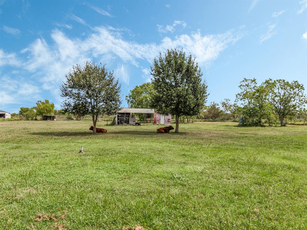 2234 Hopkins Road, Beasley, Texas image 40