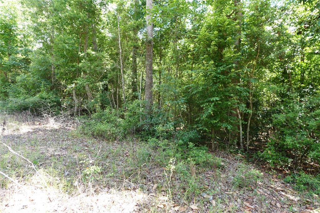 TBD Road 2721, Cleveland, Texas image 7