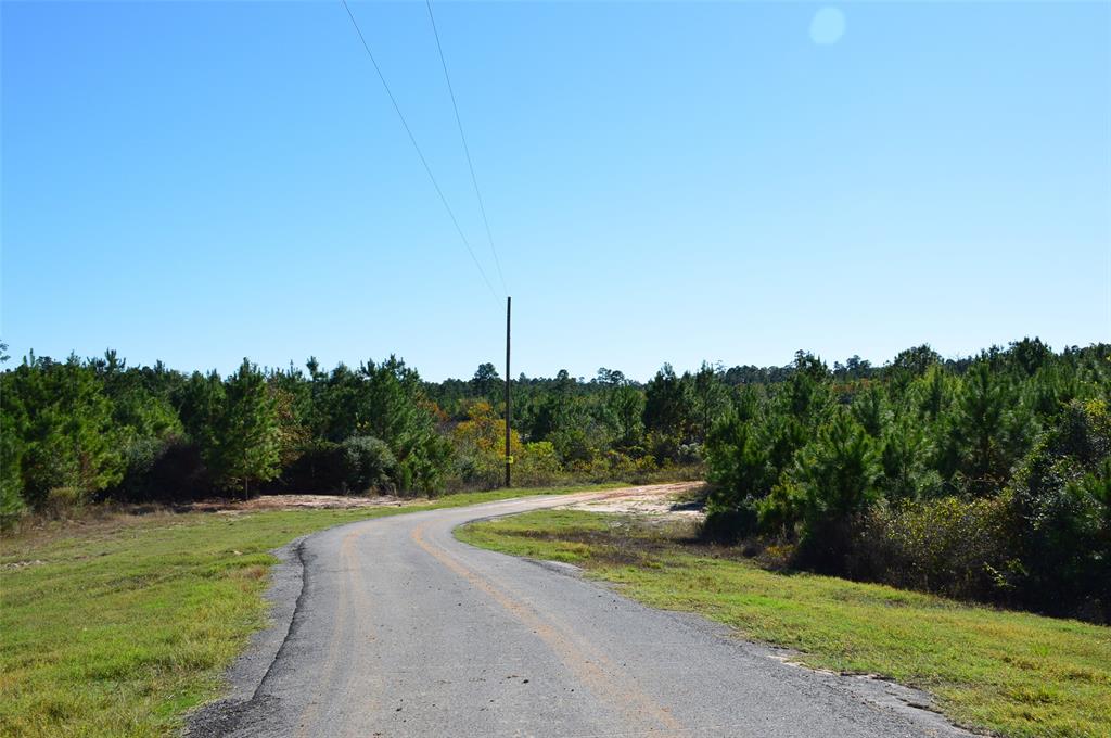 Tract #2 Sh 249, Navasota, Texas image 25