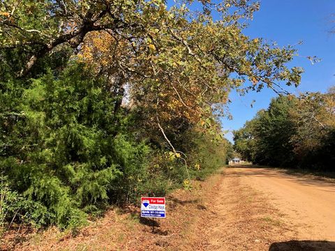 12 Mohawk Lane Hilltop Lakes TX 77871