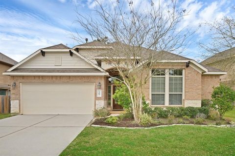 Photo of 107 Autumn Forest Lane, Conroe, TX 77384 (MLS # 3965862)