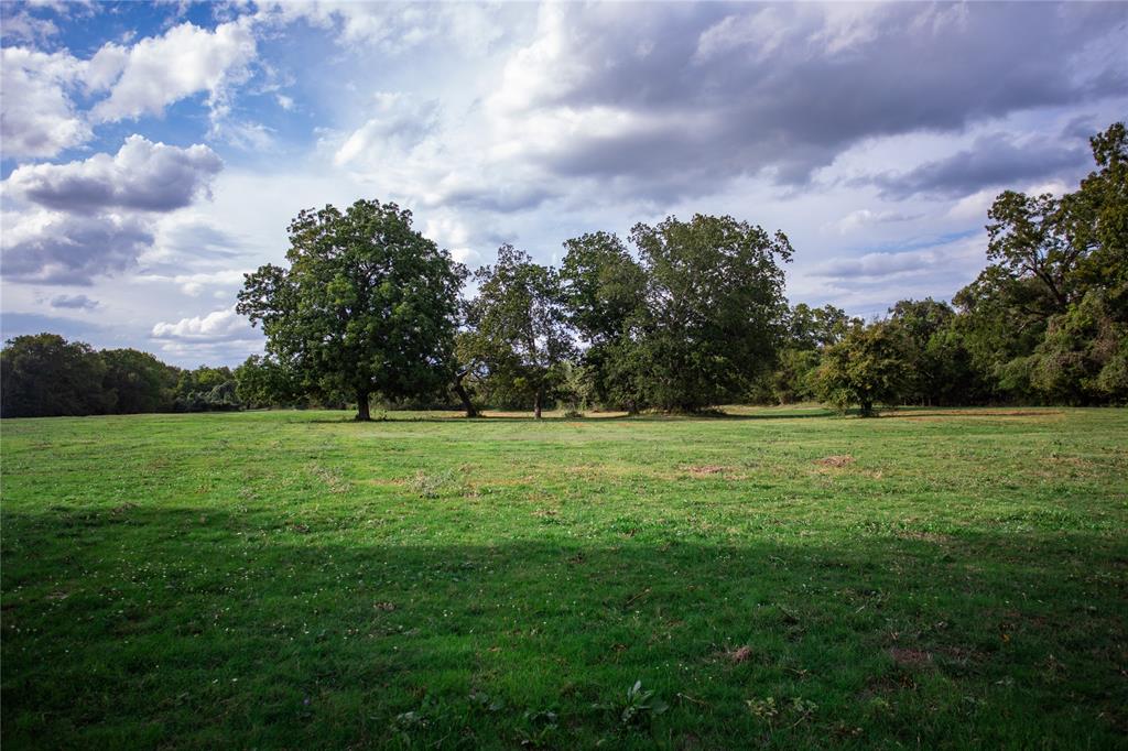 2401 Brazos River Lane, Chappell Hill, Texas image 30