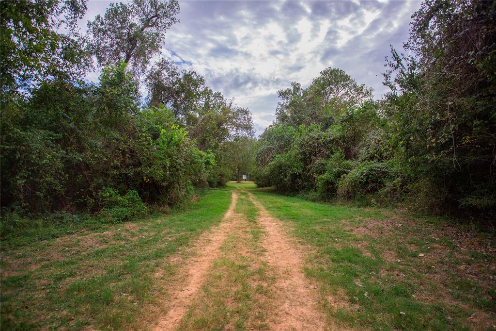 2401 Brazos River Lane, Chappell Hill, Texas image 34