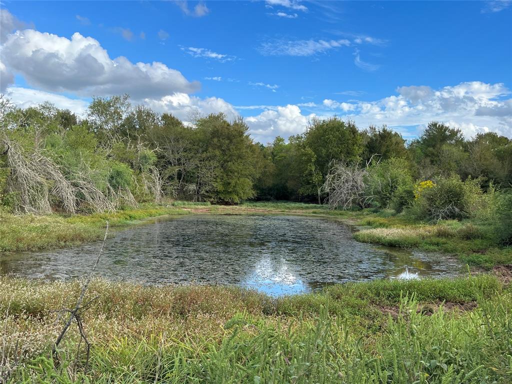 2401 Brazos River Lane, Chappell Hill, Texas image 35