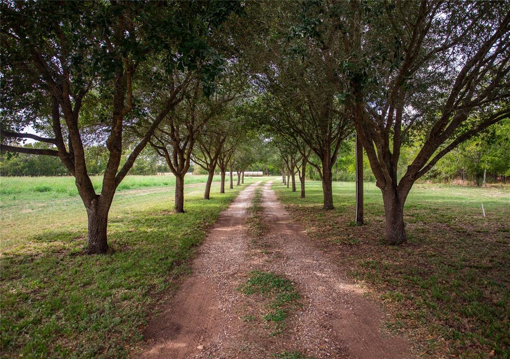 2401 Brazos River Lane, Chappell Hill, Texas image 3