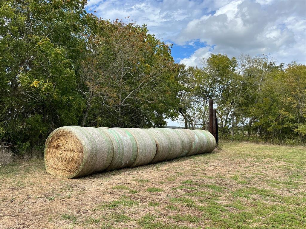 2401 Brazos River Lane, Chappell Hill, Texas image 38