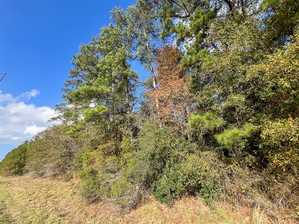 Fm 2460, Bon Wier, Texas image 7