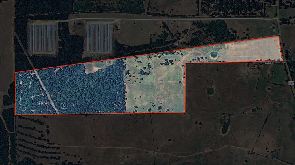 126.5 AC Fm 977, Leona, Texas image 23