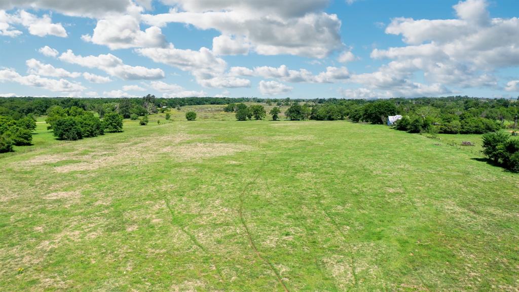 126.5 AC Fm 977, Leona, Texas image 6