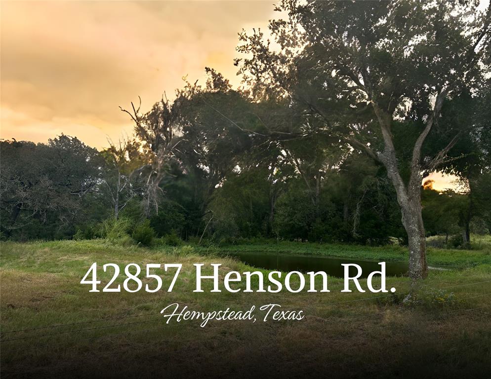 42857 Henson Road- Rd, Hempstead, Texas image 1