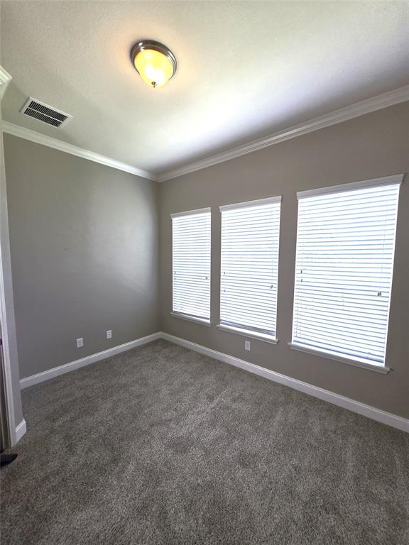 4321 Juniper Lane, Deer Park, Texas image 25