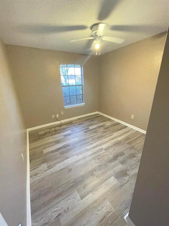 11931 Hedgegate Drive, Houston, Texas image 7