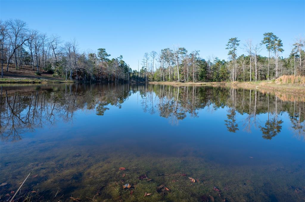 595 Private Road 8304, Woodville, Texas image 9