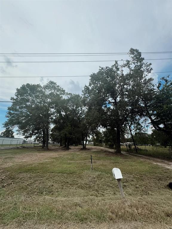 21763 E Wallis Drive, Porter, Texas image 5