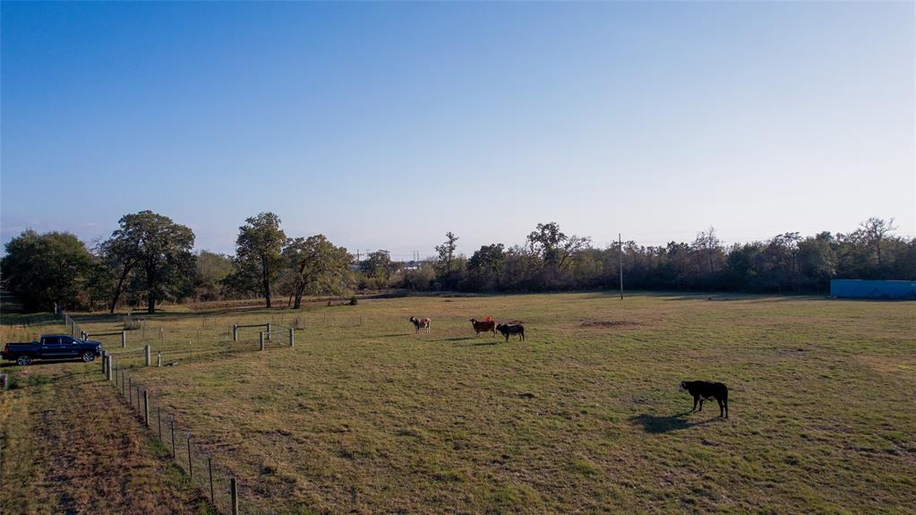 20615 Fm 39, Iola, Texas image 10