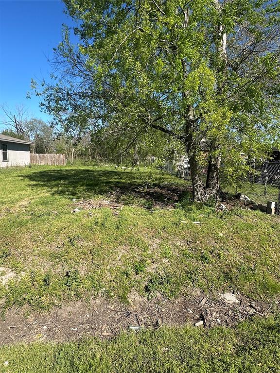 Lavender Street, Houston, Texas image 6