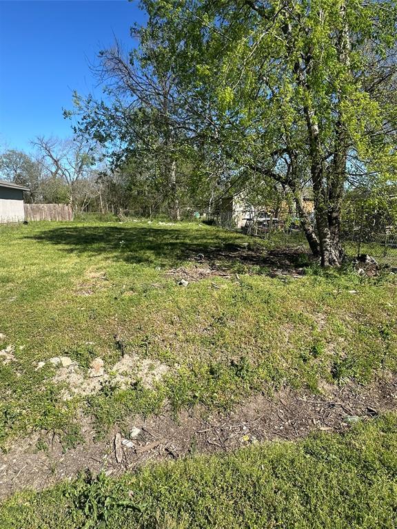 Lavender Street, Houston, Texas image 4
