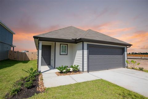 14039 Mount Hunter Drive Willis TX 77318