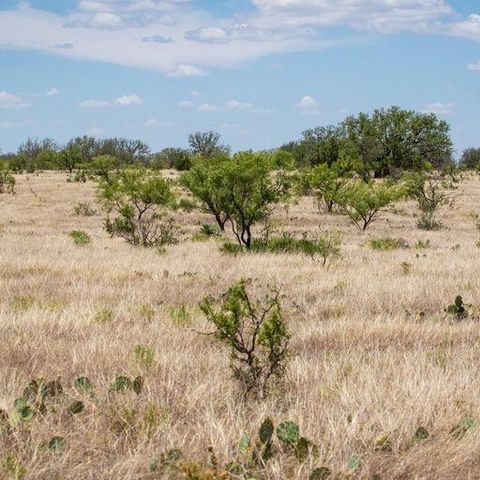Vacant Land For Sale - Starks Road<br/> Mason, TX 76856